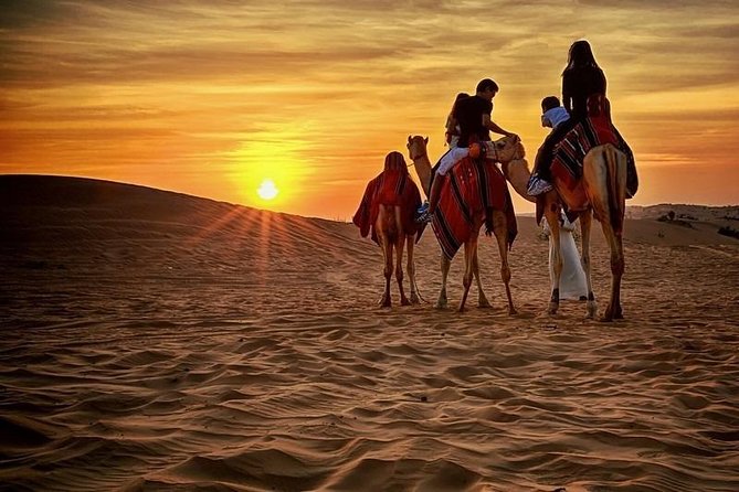 Desert Safari With BBQ, Quad Bike And Camel Ride - Directions