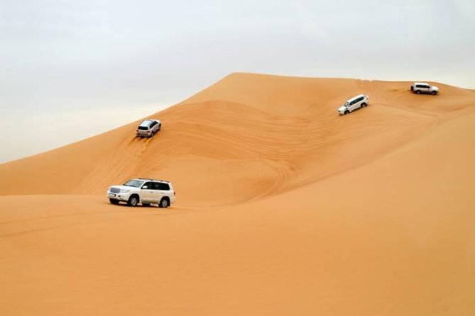 Desert Safari With Camel Ride and Dinner - Thrilling 4x4 Dune Bashing Ride