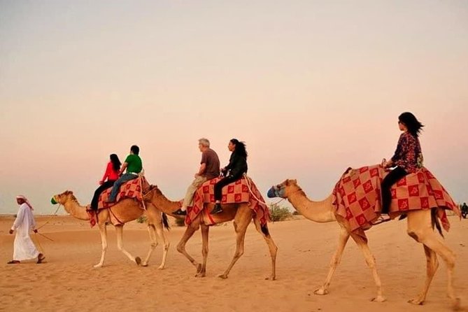 Desert Safari With Camel Ride - Itinerary