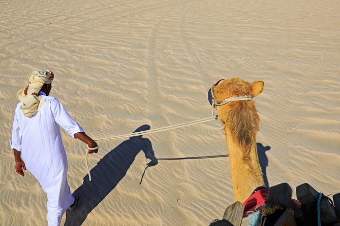 Desert Safari With Camel Ride, Sand Boarding & Inland Sea Tour in Doha - Common Questions