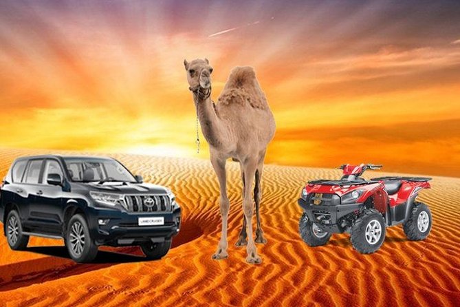 Desert Safari With Dune Bashing and Unlimited 4 Course Barbecue Dinner - Barbecue Dinner