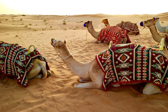 Desert Safari With Dune Bashing, Camel Ride, BBQ Dinner, Sand Board & Live Shows - Directions