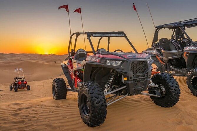 Desert Safari With Dune Bashing, Camel Ride, BBQ Dinner, Sand Board & Live Shows - The Sum Up