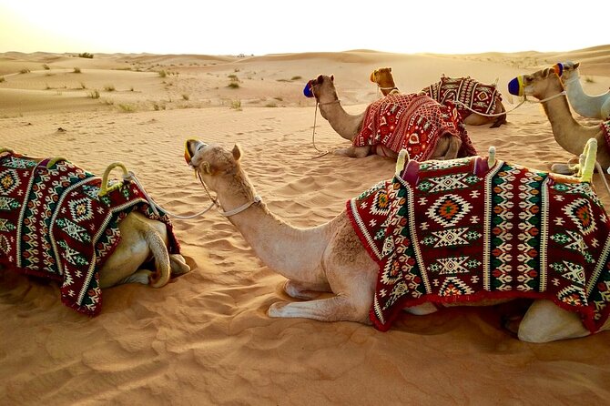 Desert Safari With VIP Seating, BBQ Dinner, Dune Bashing & More - Desert Activities: Engage in Exciting Desert Activities