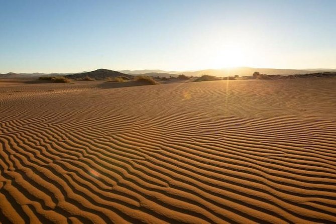 Desert Sahara Sand Dunes in Agadir - Half-Day Tour From Agadir
