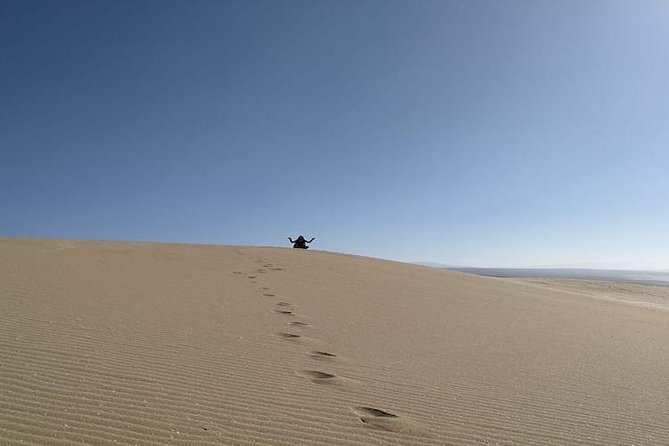 Desert Sahara Sand Dunes in Agadir - Untouched Sahara Desert Landscape