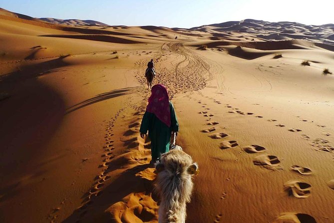 Desert Sahara Sand Dunes Trip in Agadir - Confirmation Process