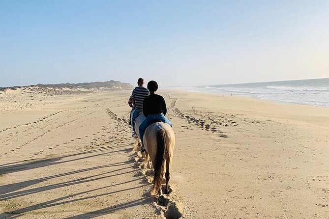 Desert & Sea: 2-Hour Horseback Ride in Hurghada - Pickup Process and Details