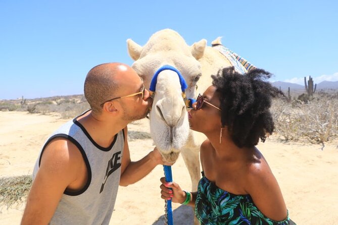 Desert & Sea, Camel Safari Tour in Los Cabos With Lunch - Wildlife Encounters