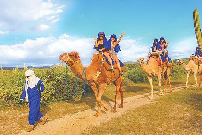 Desert & Sea, Camel Safari Tour in Los Cabos With Lunch - Authentic Mexican Lunch