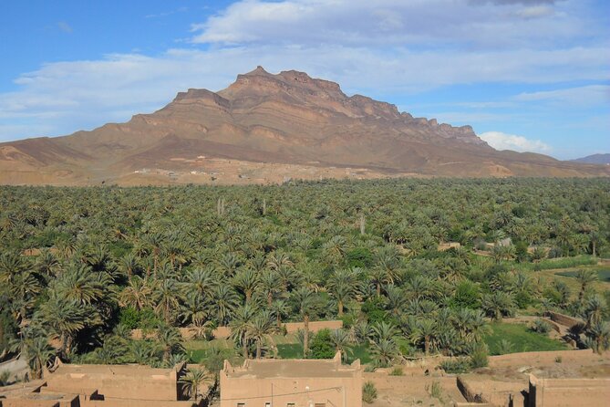 Desert Small Group Overnight Tour From Fez - Tour Highlights