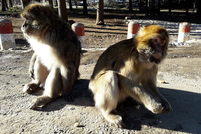 Desert Small Group Overnight Tour From Fez - Inclusions and Amenities