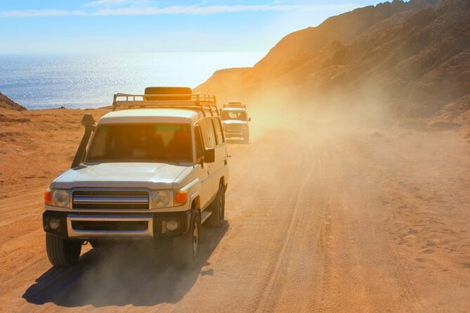 Desert Stargazing Adventure by Jeep With Dinner From Hurghada - Booking Details and Operator Information