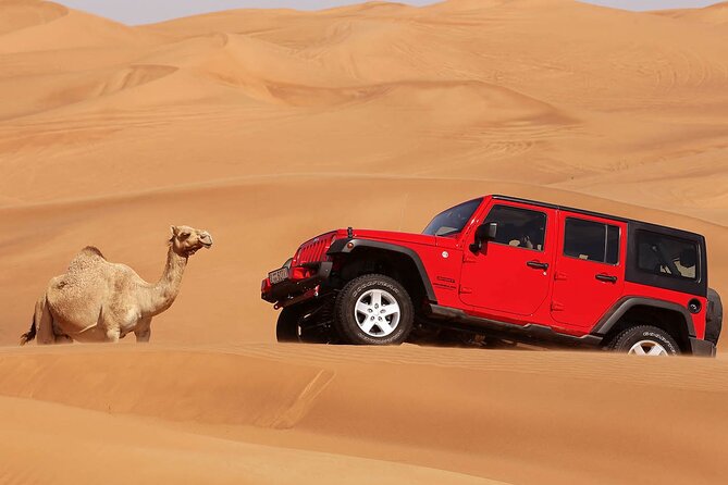 Desert Stargazing Adventure by Jeep With Dinner From Hurghada - The Sum Up