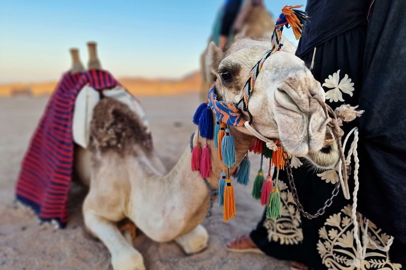 Desert Stargazing & Bedouin BBQ Experience - Catching the sun between the mountains