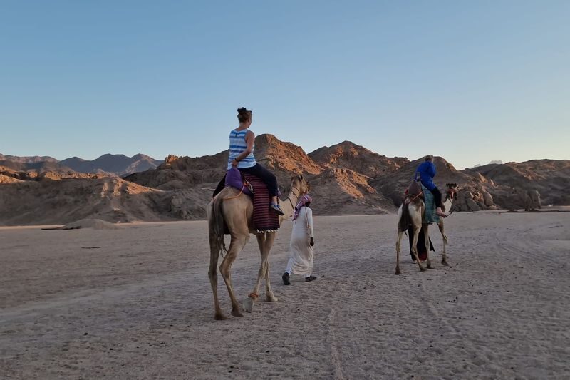 Desert Stargazing & Bedouin BBQ Experience - Should you book this Hurghada desert tour?