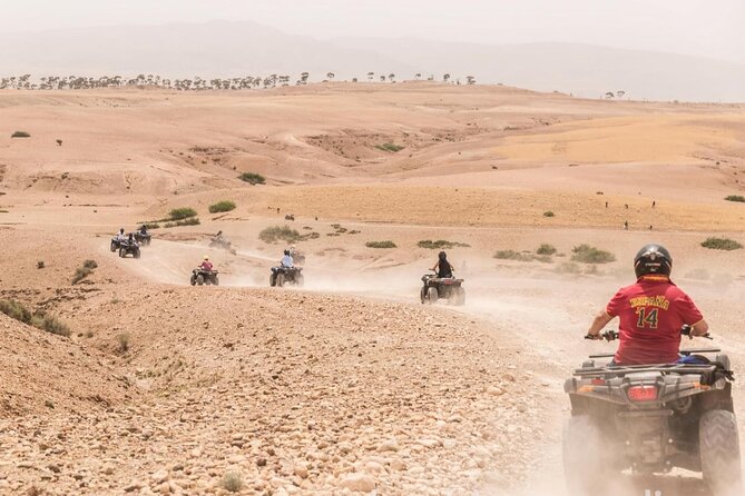 Desert Thrills: Quad Bike & Dinner Show or Lunch Feast Adventure - Operator Information
