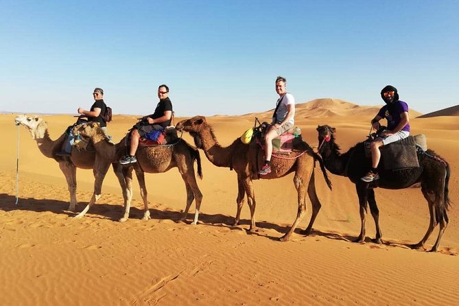 Desert Tour 3 Days From Fes to Marrakech - Tour Highlights