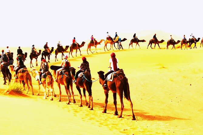 Desert Tour From Agadir - Itinerary Details