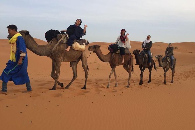 Desert Tour From Agadir - Availability and Reviews