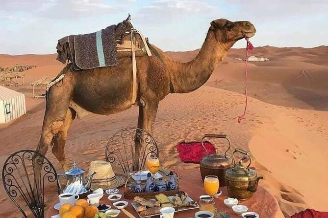 Desert Tour From Marrakech - Reviews Overview
