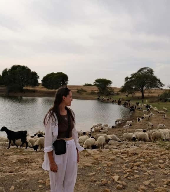 Desert Tour Jaisalmer - What Makes This Tour Stand Out