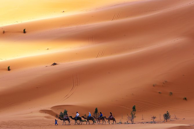 Desert Tour Marrakech Merzouga 3 Days / 2 Nights - Inclusions and Exclusions