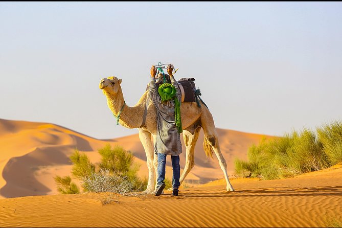Desert Tour Ouarzazate CHEGAGA 2 Days/ 1 Night - Customer Reviews