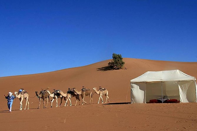 Desert Tour: Private 3-Day Trip From Marrakech to Merzouga With Camel Ride - Accommodation Details