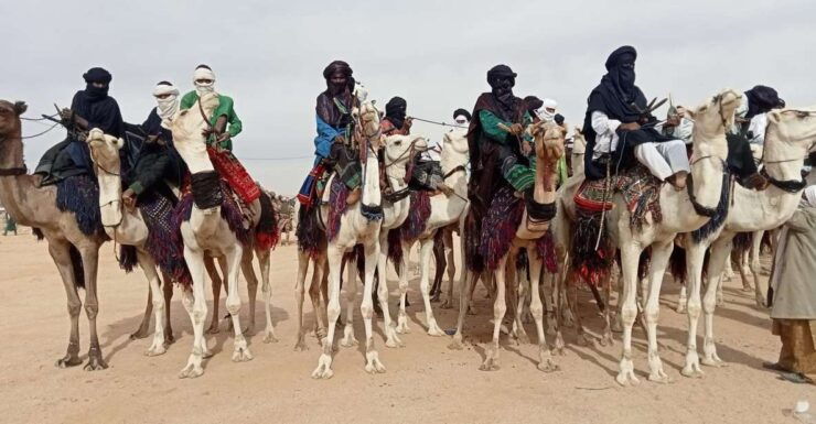 Desert Tour - Tour Experience