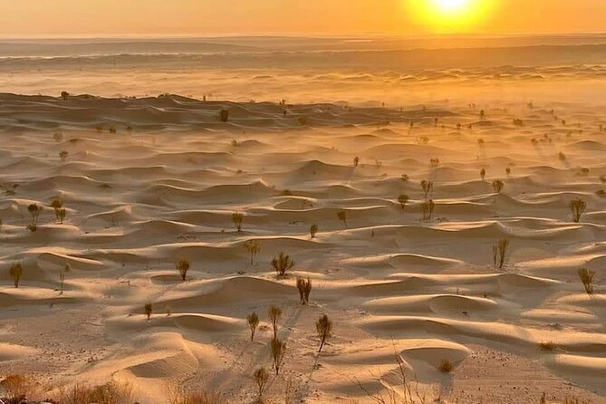 Desert Tours and Adventurous Camel Trekking Through the Sahara - Tour Overview
