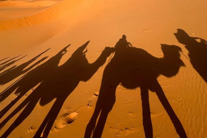 Desert Trip From Marrakech to Fes With Pickup. - Trip Highlights