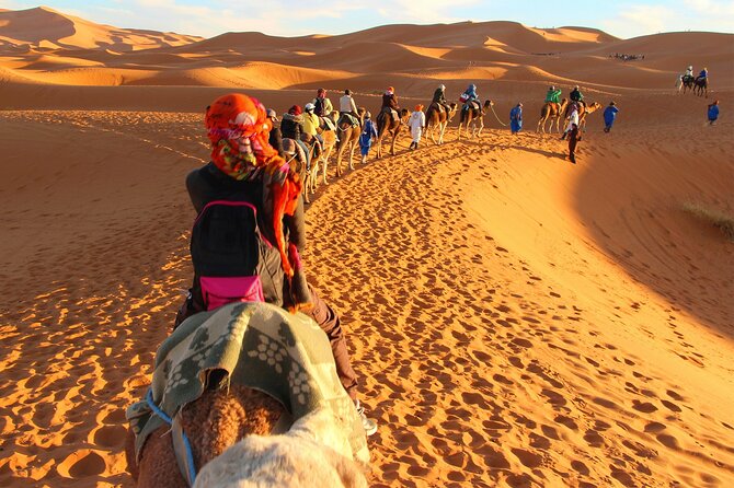 Desert Trip:Fès-Merzouga(1 Night)-Ouarzazat(1 Night)-Marrakech - Highlights of Fès-Merzouga