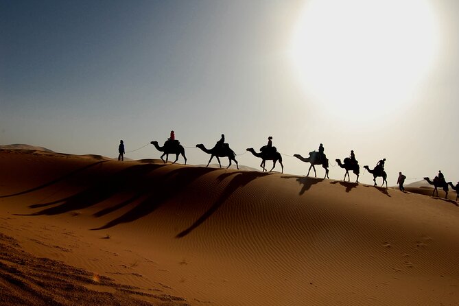 Desert Trip:Fès-Merzouga(1 Night)-Ouarzazat(1 Night)-Marrakech - Experiencing Marrakech