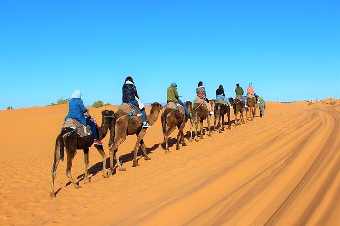 Desert Trip:Fès-Merzouga(1 Night)-Ouarzazat(1 Night)-Marrakech - The Sum Up