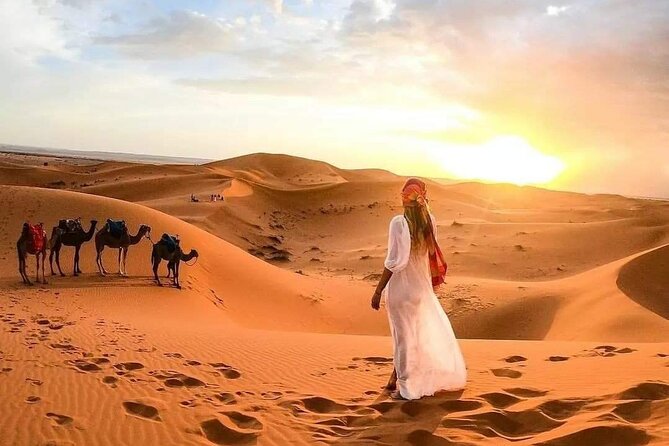 Desert Wonders: 3Day Small Group From Marrakech to Merzouga Dunes - Reviews and Ratings From Previous Travelers