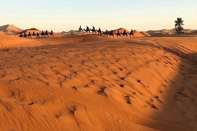 Desert Wonders: 3Day Small Group From Marrakech to Merzouga Dunes - Unforgettable Camel Safari in the Desert