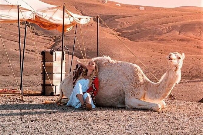 Desret Agafay and Atlas Mountains & Camel Ride Day Trip From Marrakech - Pricing and Booking