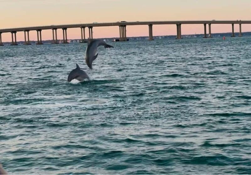 Destin: 90-Minute Boat Ride With Cruise Destin Bay - A Deep Dive into the Experience