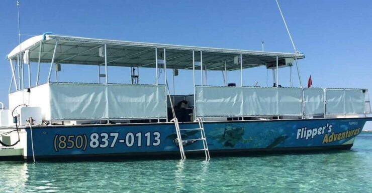Destin: Crab Island Catamaran Tour With Dolphin Watching - Itinerary and Experience