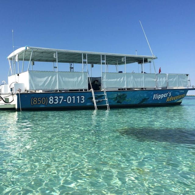 Destin: Crab Island Catamaran Tour With Dolphin Watching - Vessel and Safety