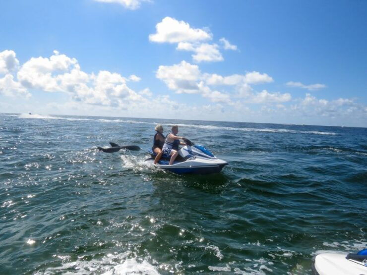 Destin: Crab Island Dolphin Watching Jet Ski Tour - Activity Details