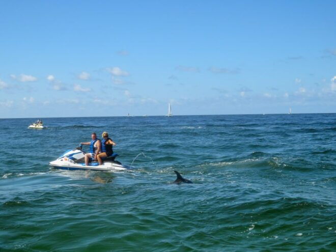 Destin: Crab Island Dolphin Watching Jet Ski Tour - Full Description