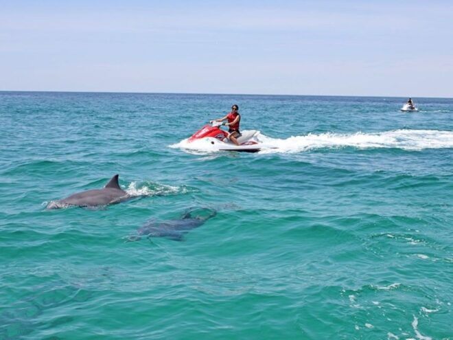Destin: Crab Island Dolphin Watching Jet Ski Tour - Customer Reviews and Additional Information