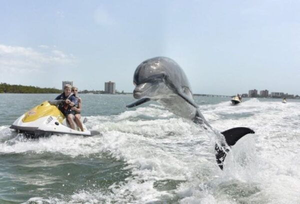 Destin: Crab Island Dolphin Watching Jet Ski Tour - Common Questions