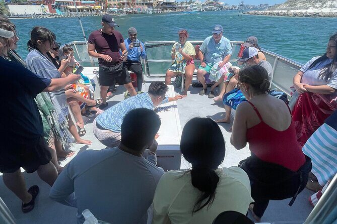 Destin Crab Island Tour in Catamaran - FAQs
