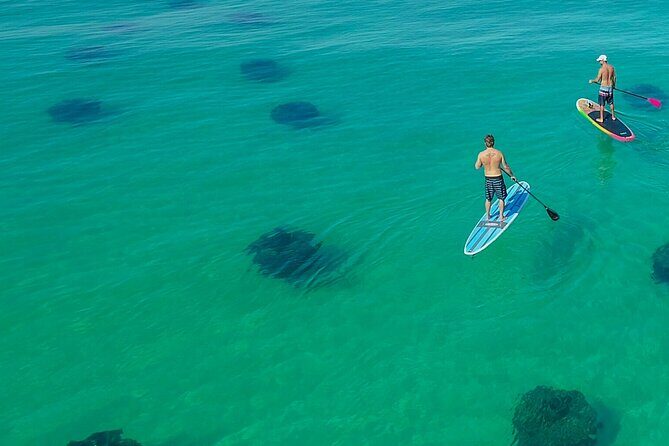 Destin Dolphin and Snorkeling Adventure Speedboat Tour - A Closer Look at the Experience