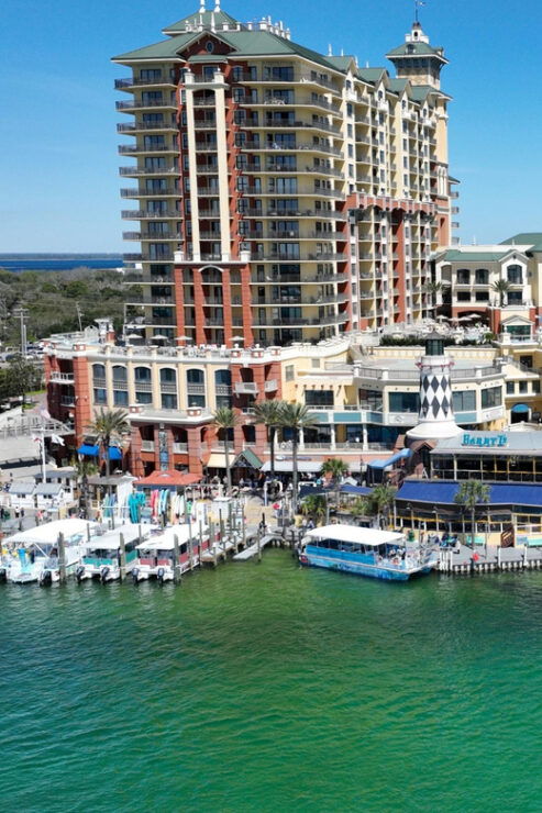 Destin: Dolphin Cruise Aboard a Glass-Bottom Boat - Good To Know