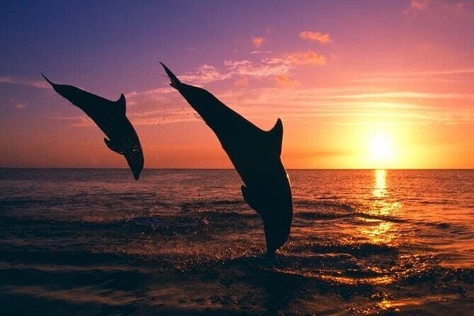 Destin Family Friendly Dolphin Watching Adventure - The Crew and Atmosphere