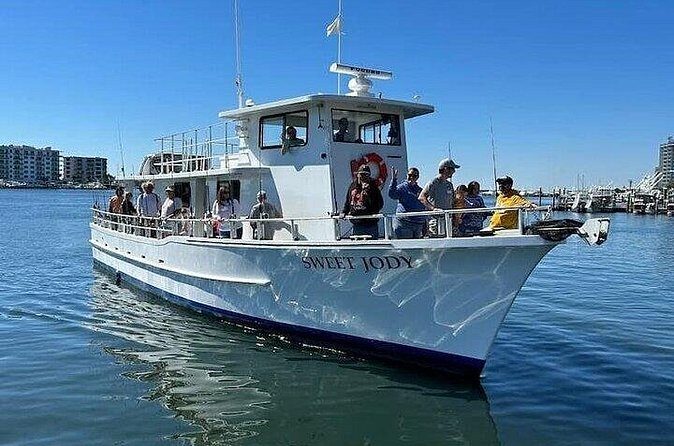 Destin Family Friendly Dolphin Watching Adventure - Who Should Choose This Tour?